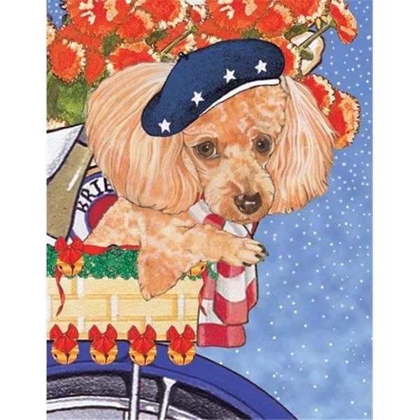 Pipsqueak Productions Pipsqueak Productions C884 Holiday Boxed Cards- Poodles Toy Apricot C884